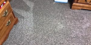 new stain hiding carpet